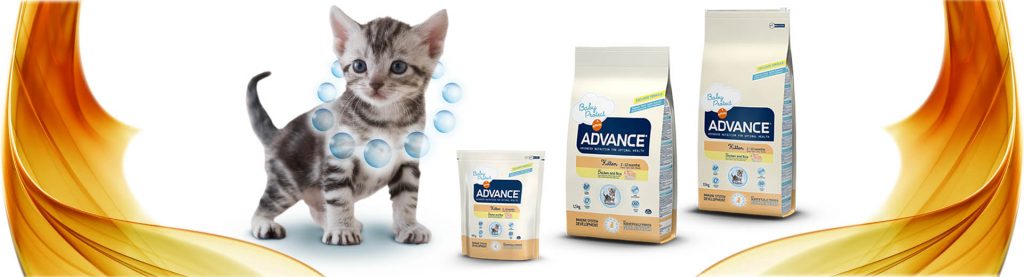 Advance Kedi Maması - En İyi Kedi Maması Markaları