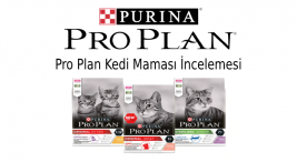 Pro Plan Kedi Maması