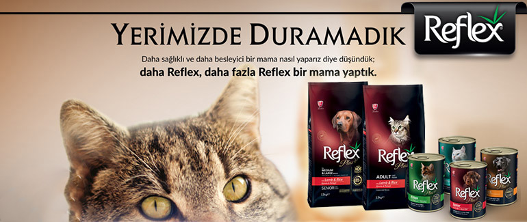Reflex Kedi Maması - En İyi Kedi Maması ve Markaları