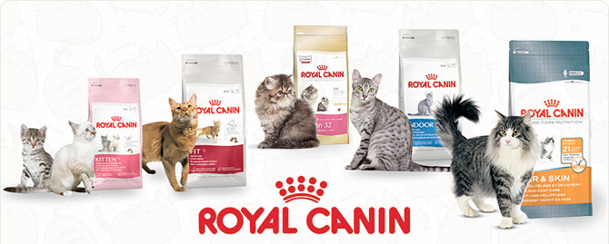 Royal Canin Kedi Maması - En İyi Kedi Maması Markaları